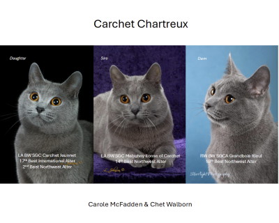 Thank you Carole and Chet of Carchet