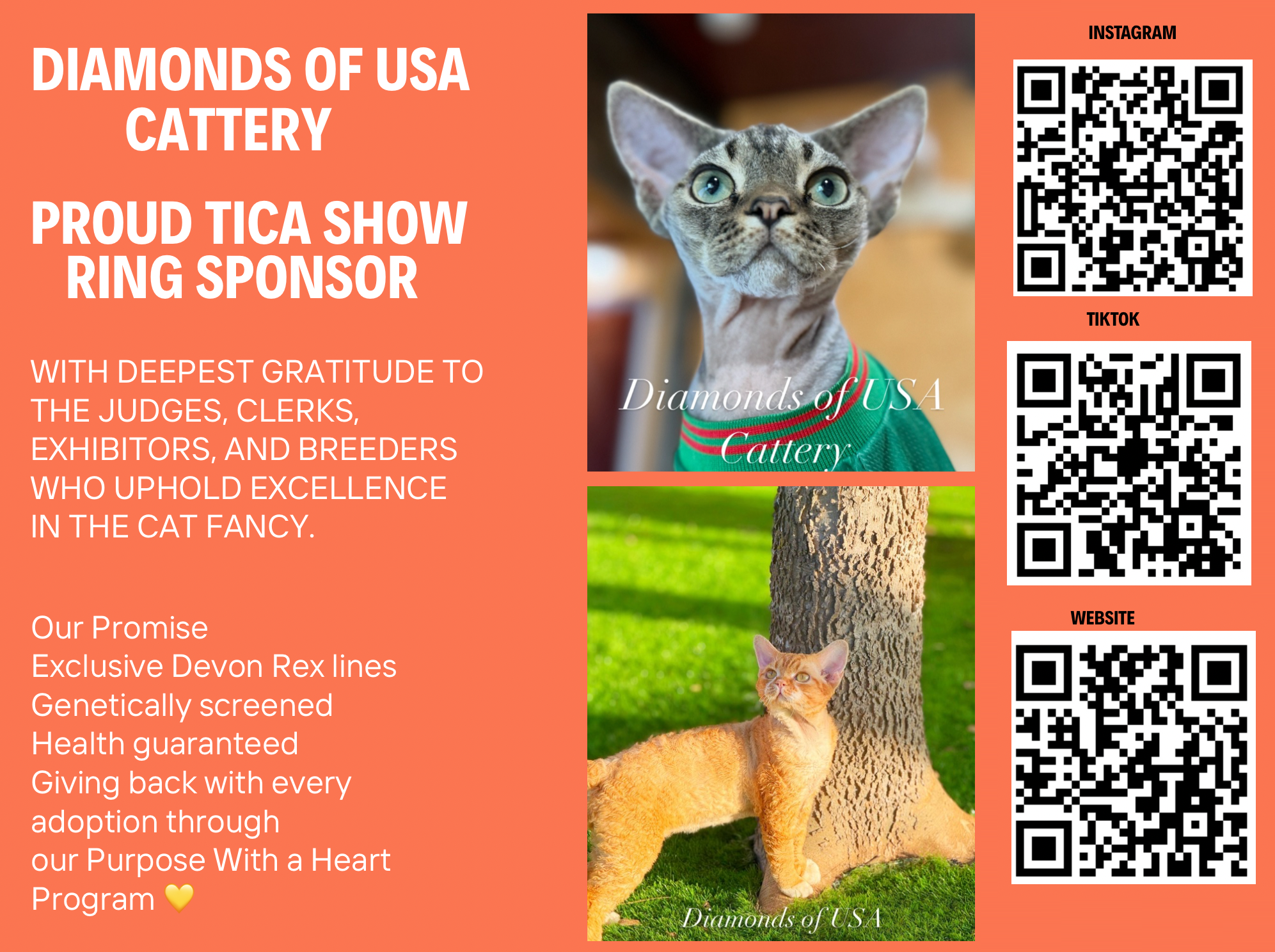 Sponsored by Diamonds of USA