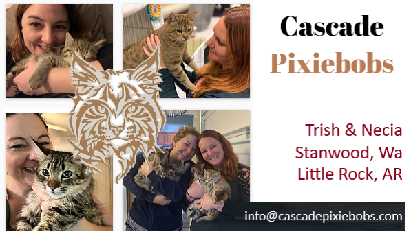 Sponsored by Cascade Pixiebobs