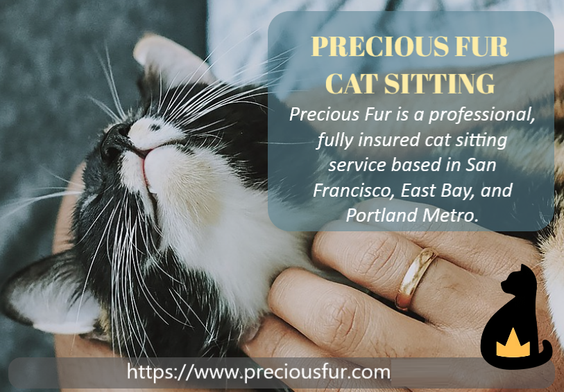 Precious Fur Cat Sitting