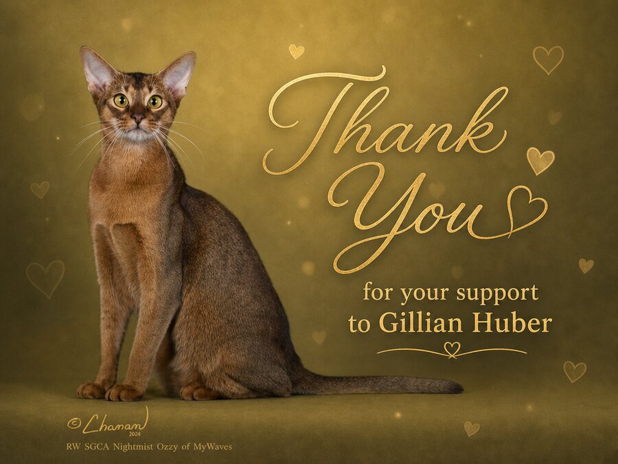 Thank you for your support - Gillian Huber