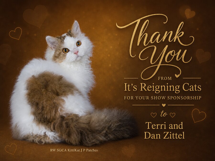 Thank you from It's Reigning Cats for your show sponsorship - Terri and Dan Zittel
