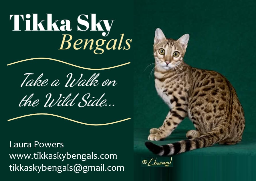 Thank you to Tikka Sky Bengals