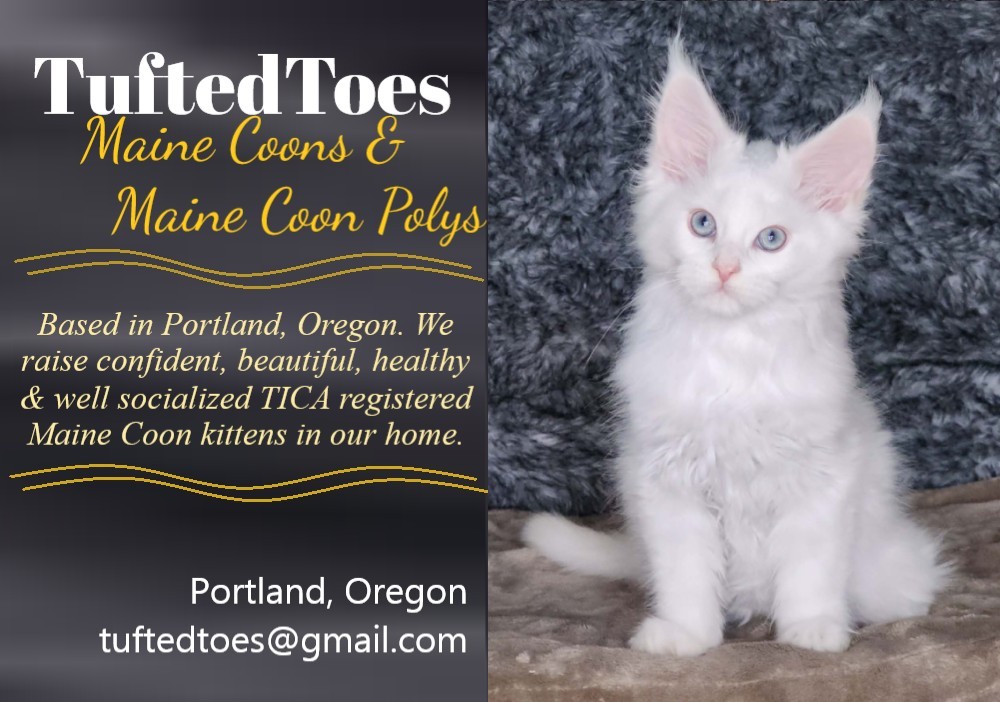 Thank you to Tufted Toes